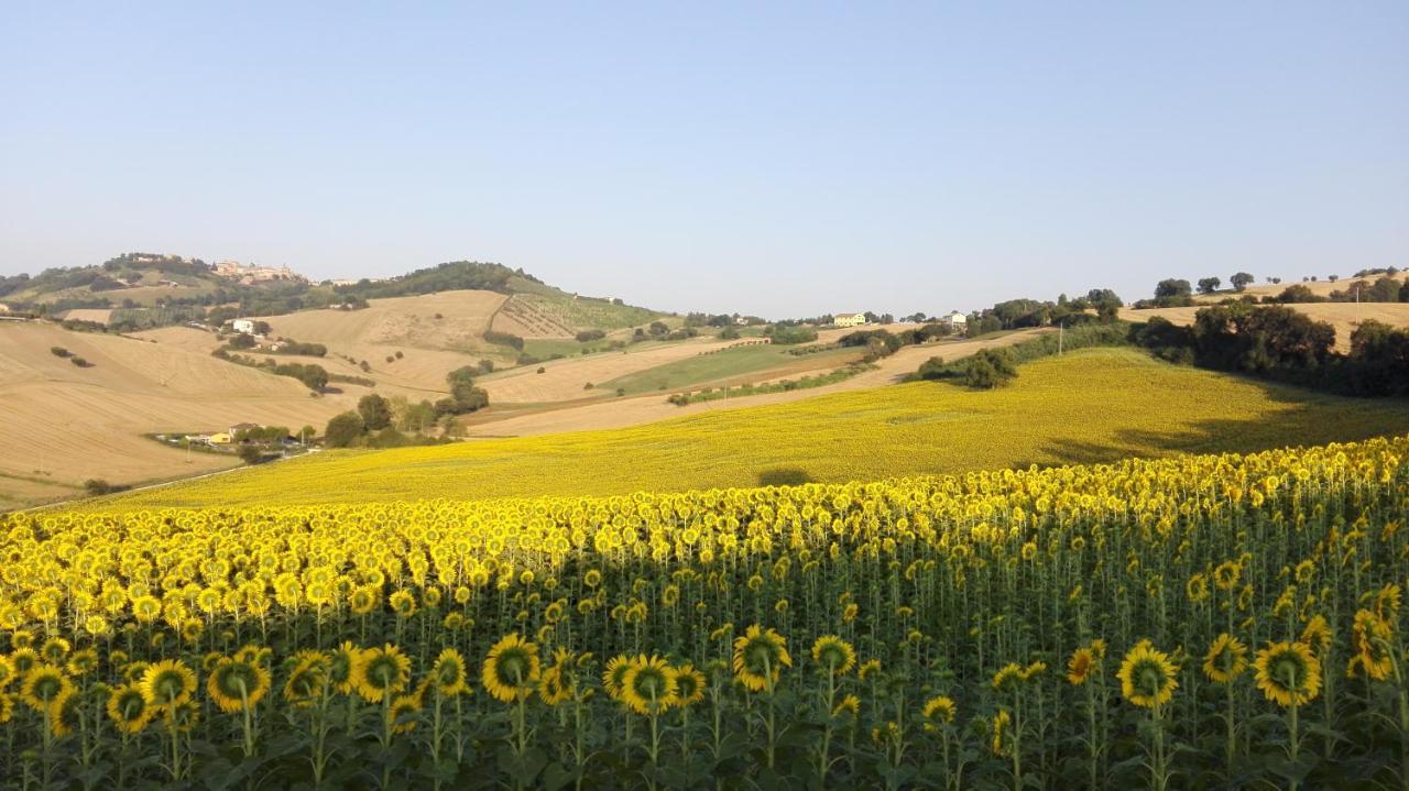 Poggio Delle Lavande Apartment Montelupone ภายนอก รูปภาพ